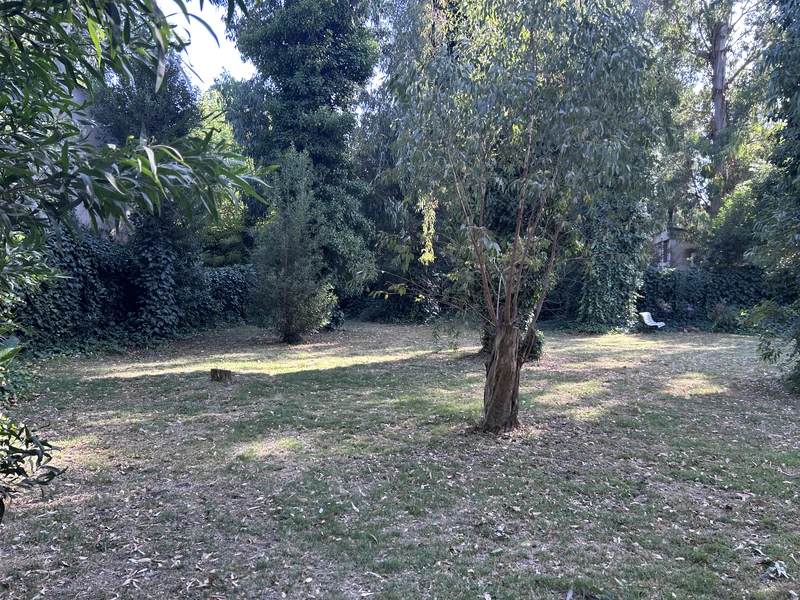 IMG_8451.jpeg