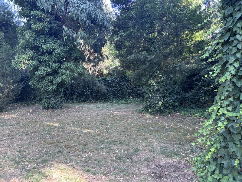 IMG_8460.jpeg
