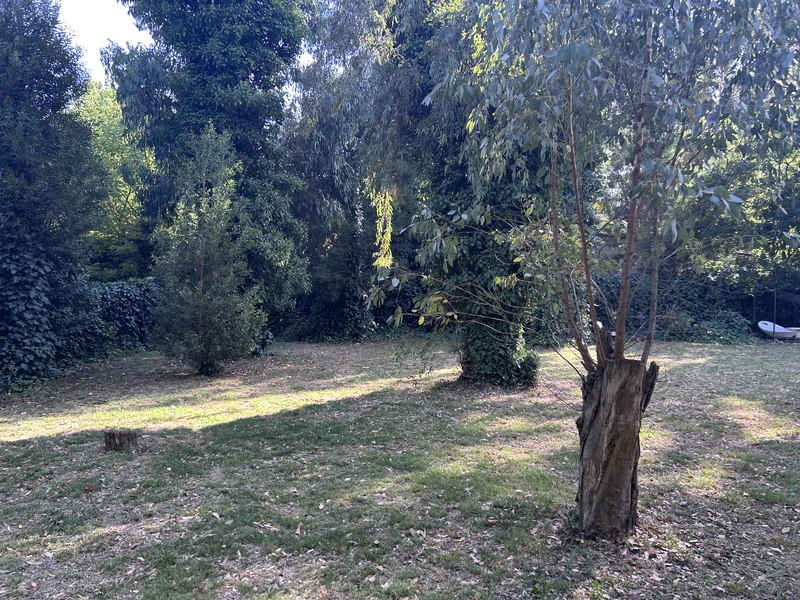 IMG_8453.jpeg