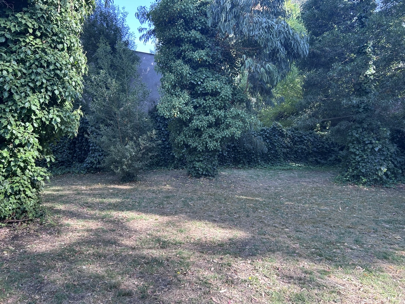 IMG_8459.jpeg