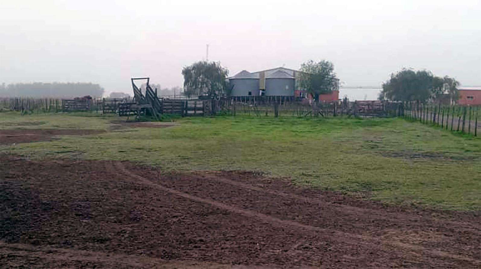 Foto 11