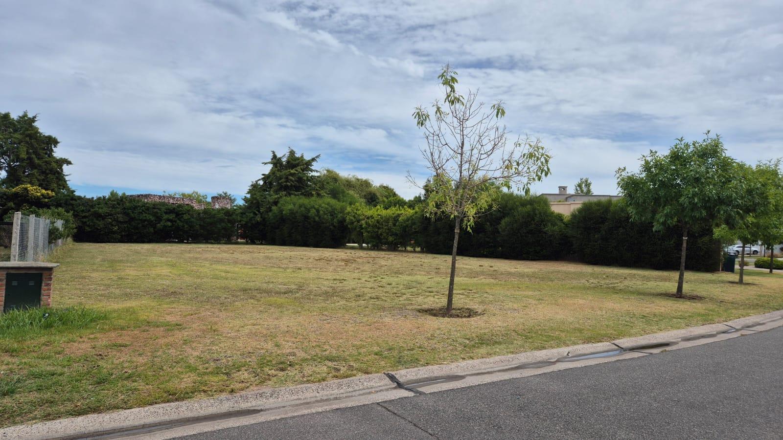 Terreno en venta · San Francisco, Villanueva, Tigre, GBA Norte, Provincia de Buenos Aires