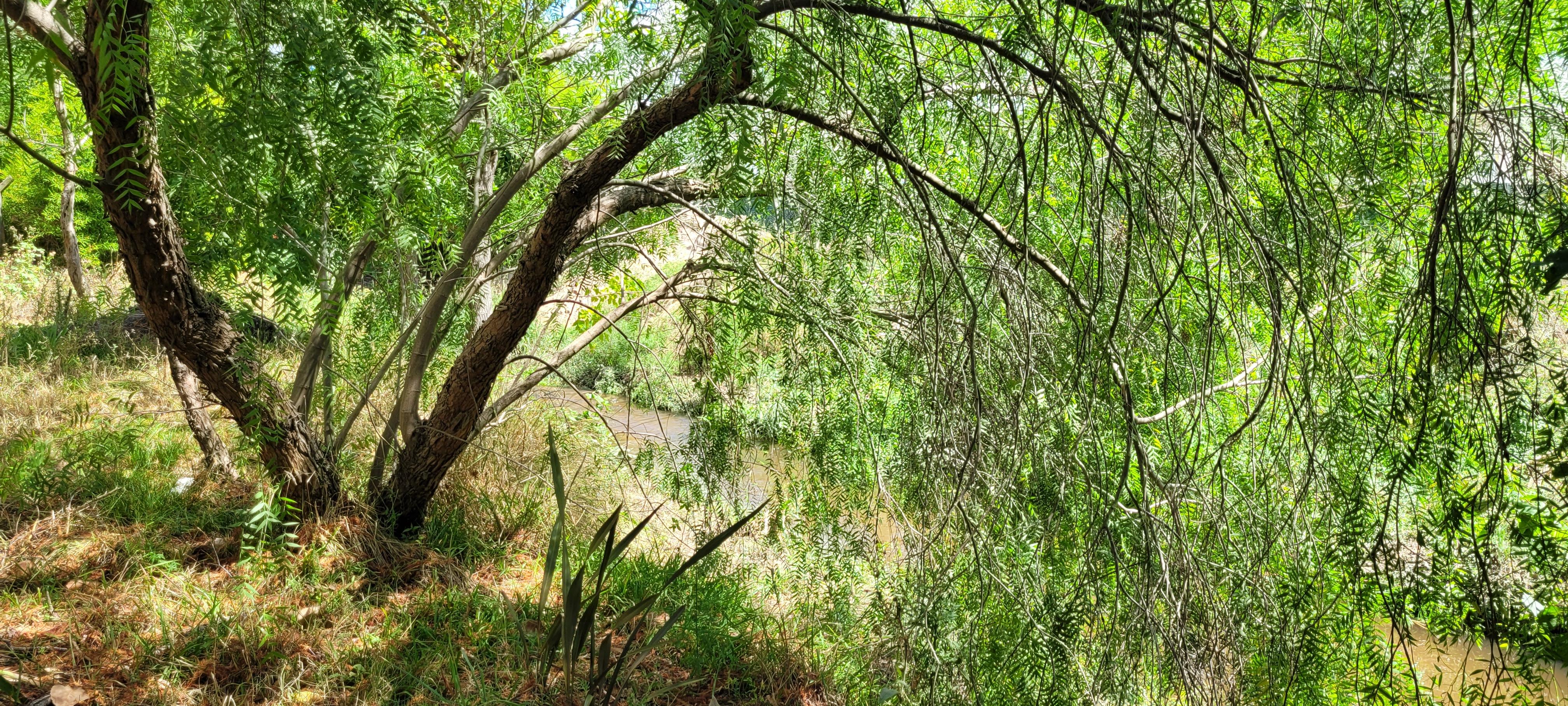 Foto 12