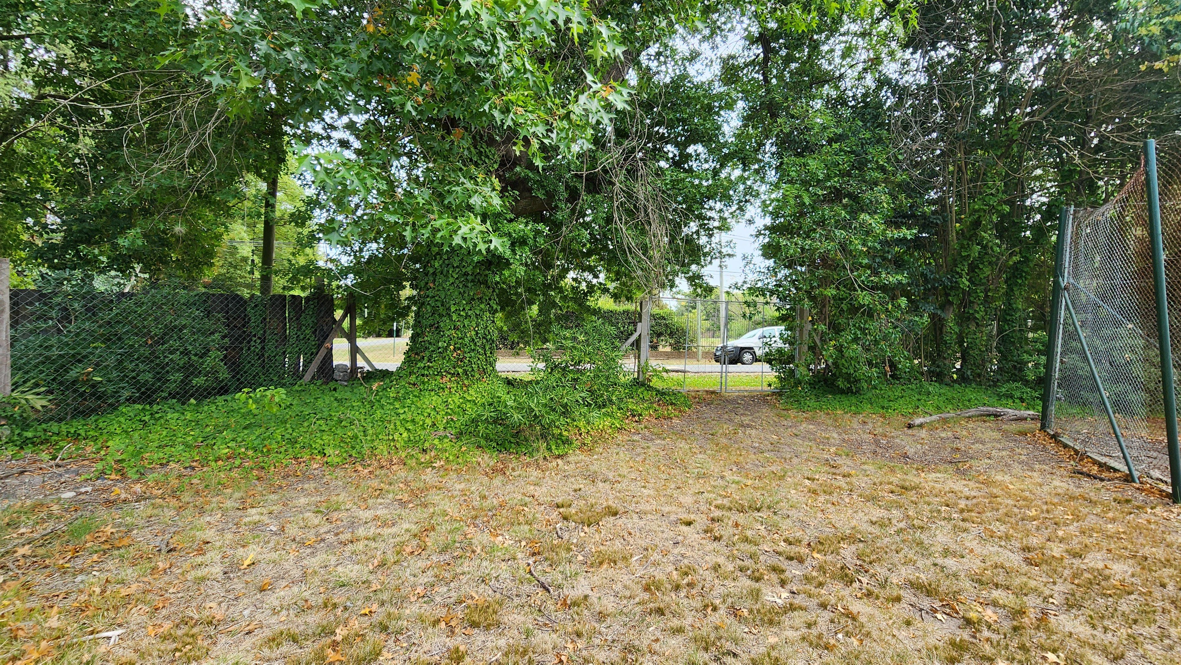Foto 17