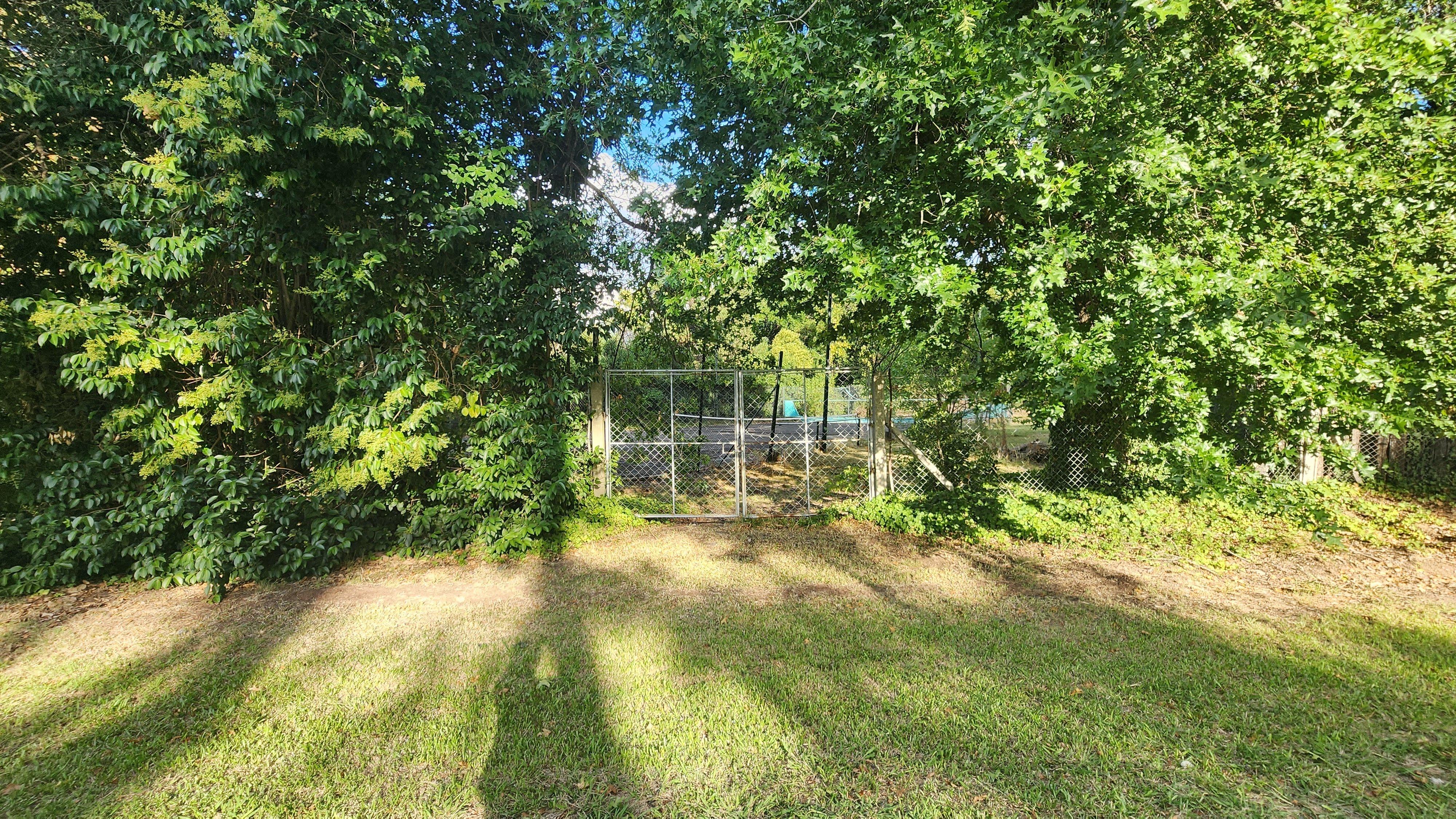 Foto 41