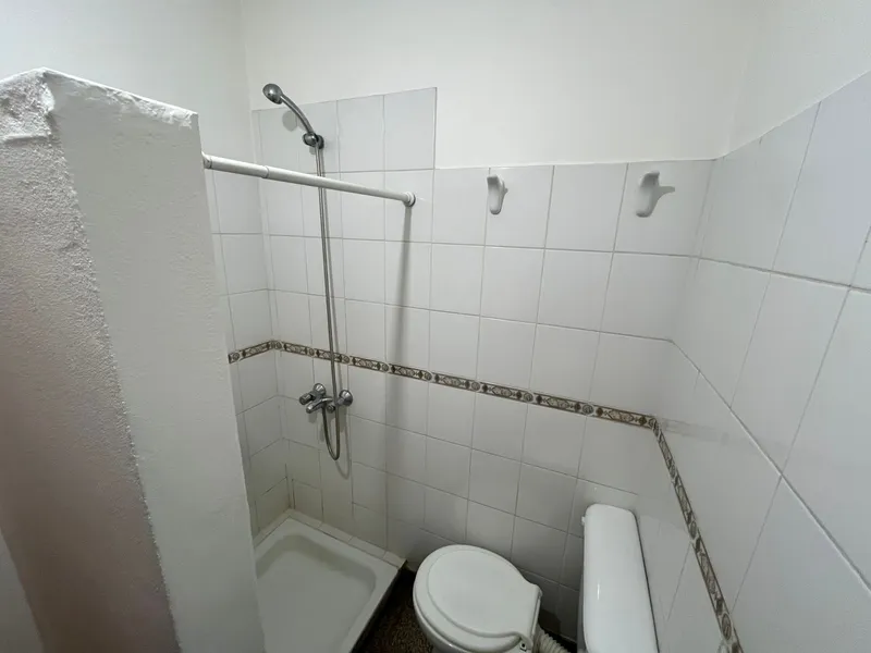 pampasPH12.jpg