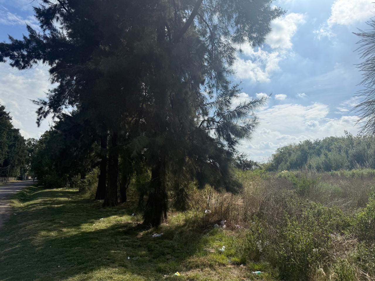 Foto 16