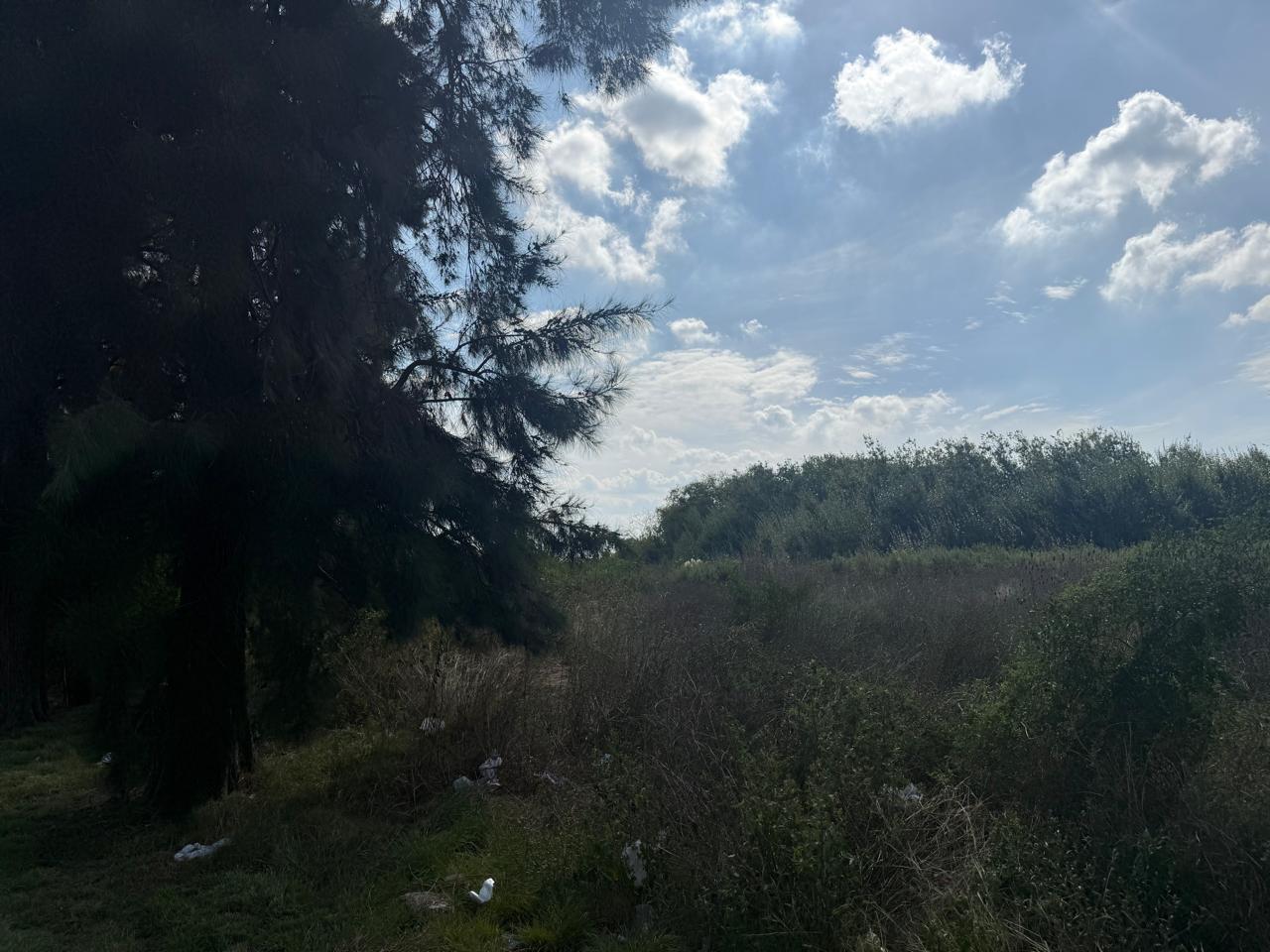Foto 15