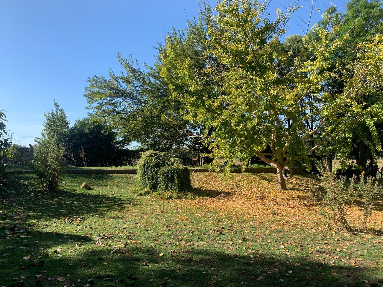 Foto 14