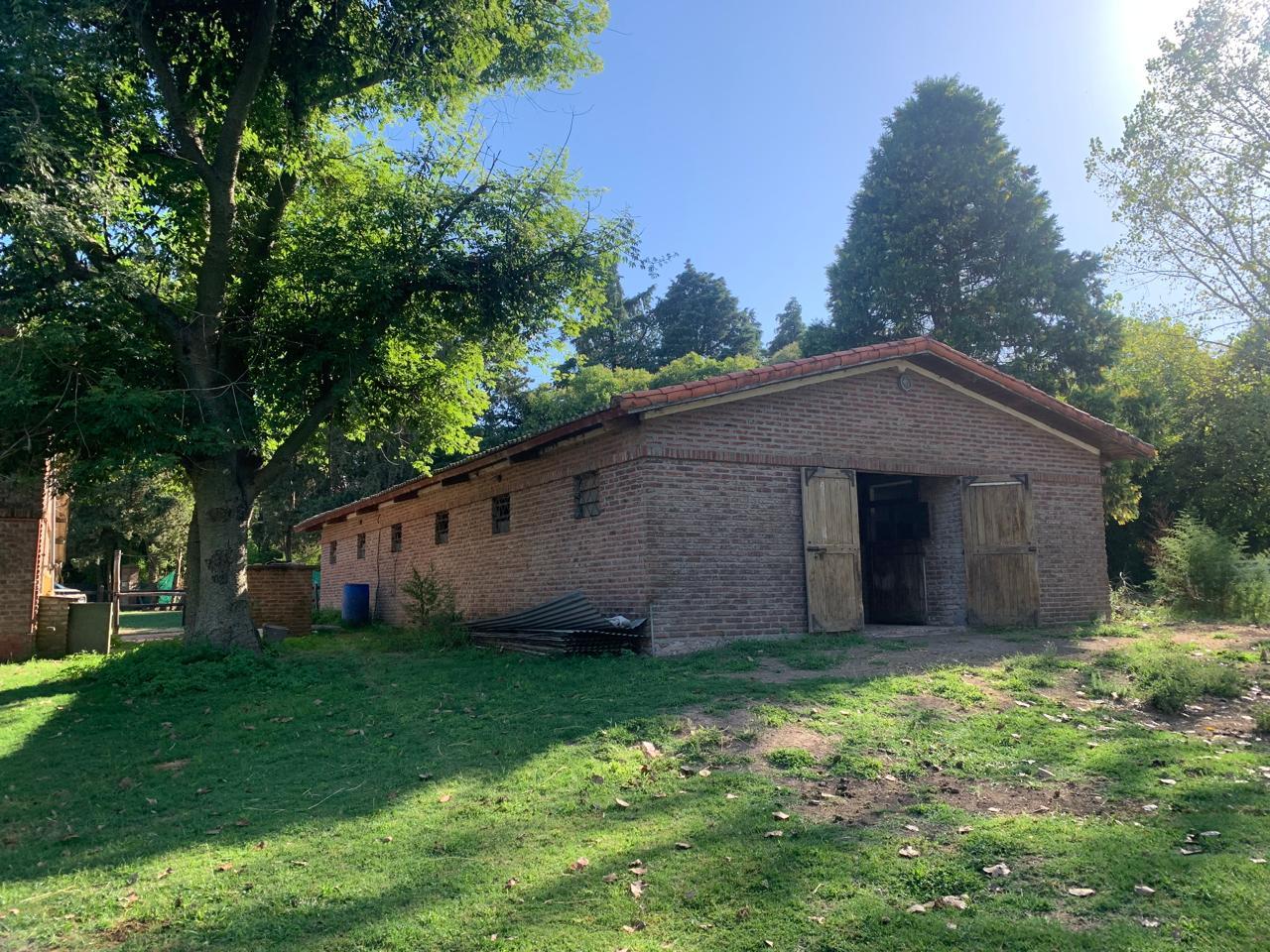 Foto 19