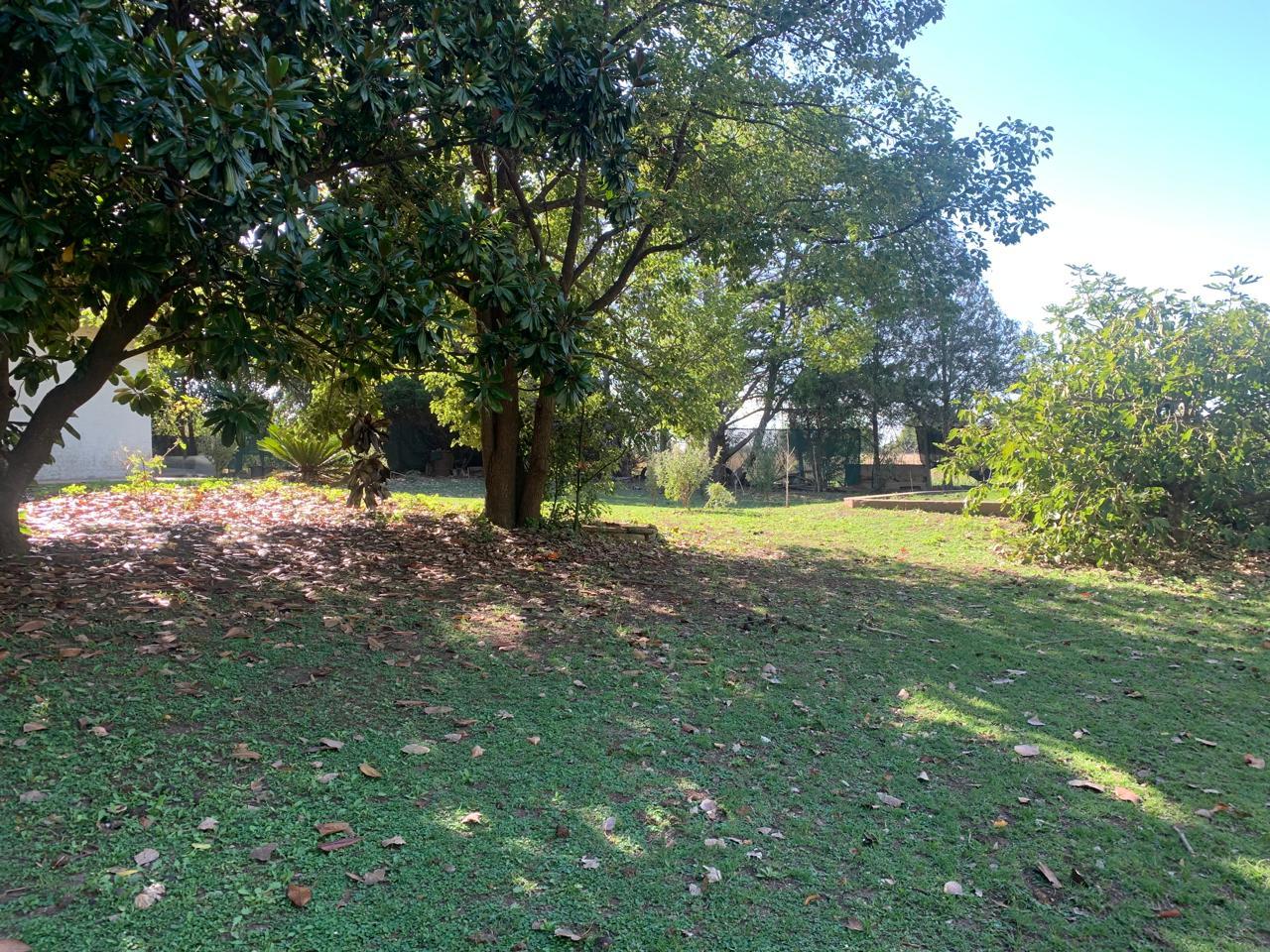 Foto 12
