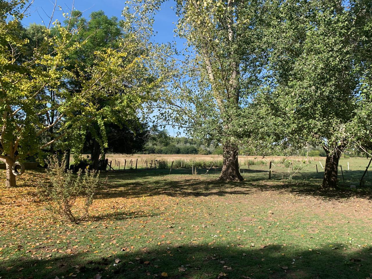 Foto 15