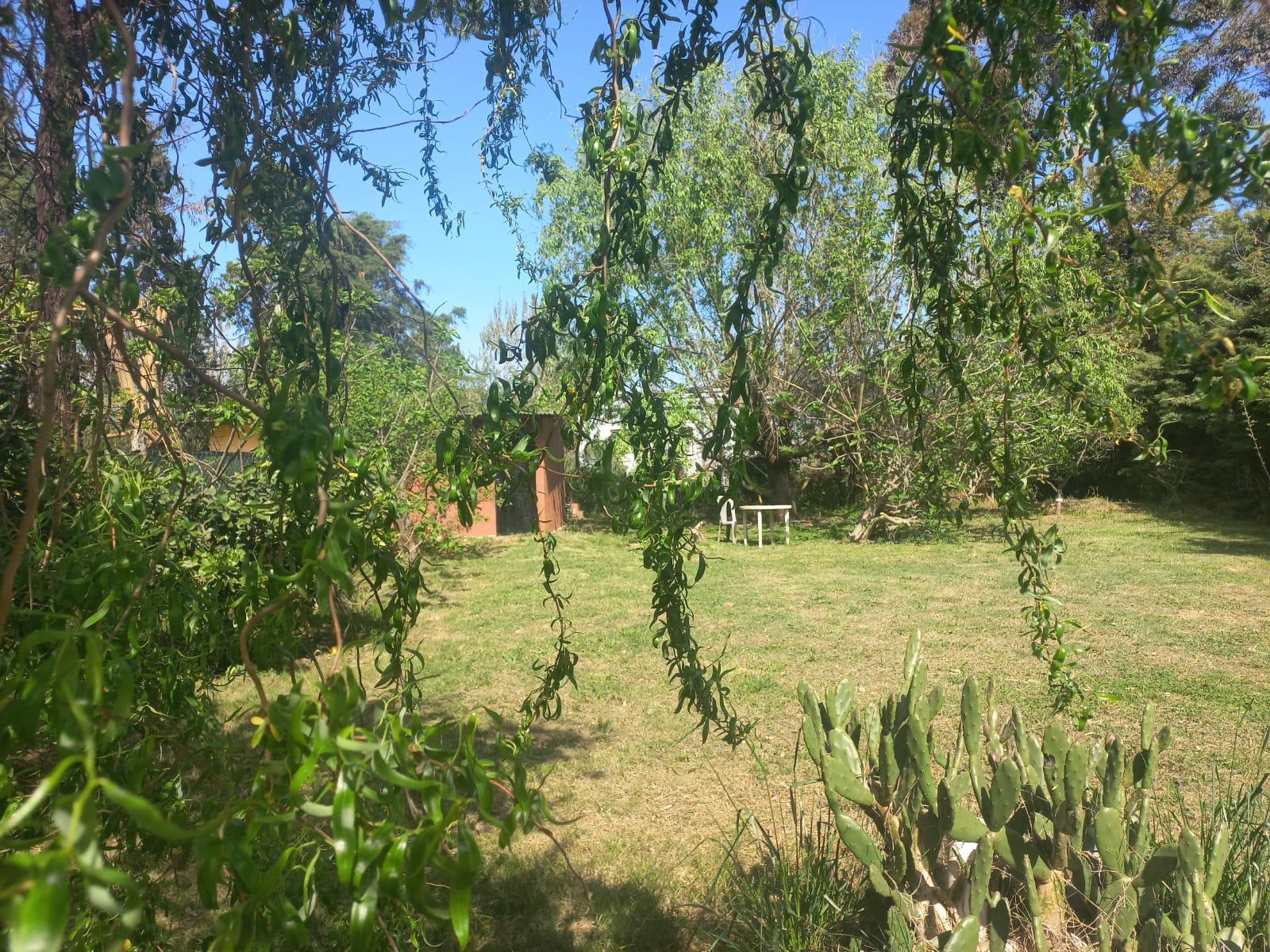 Foto 32