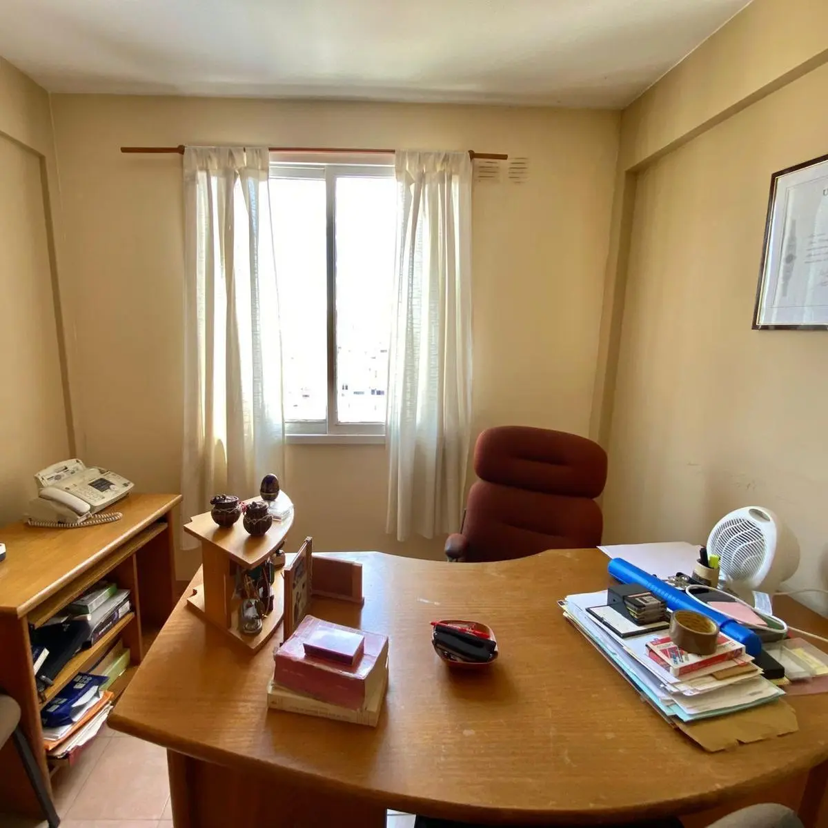 Foto 15
