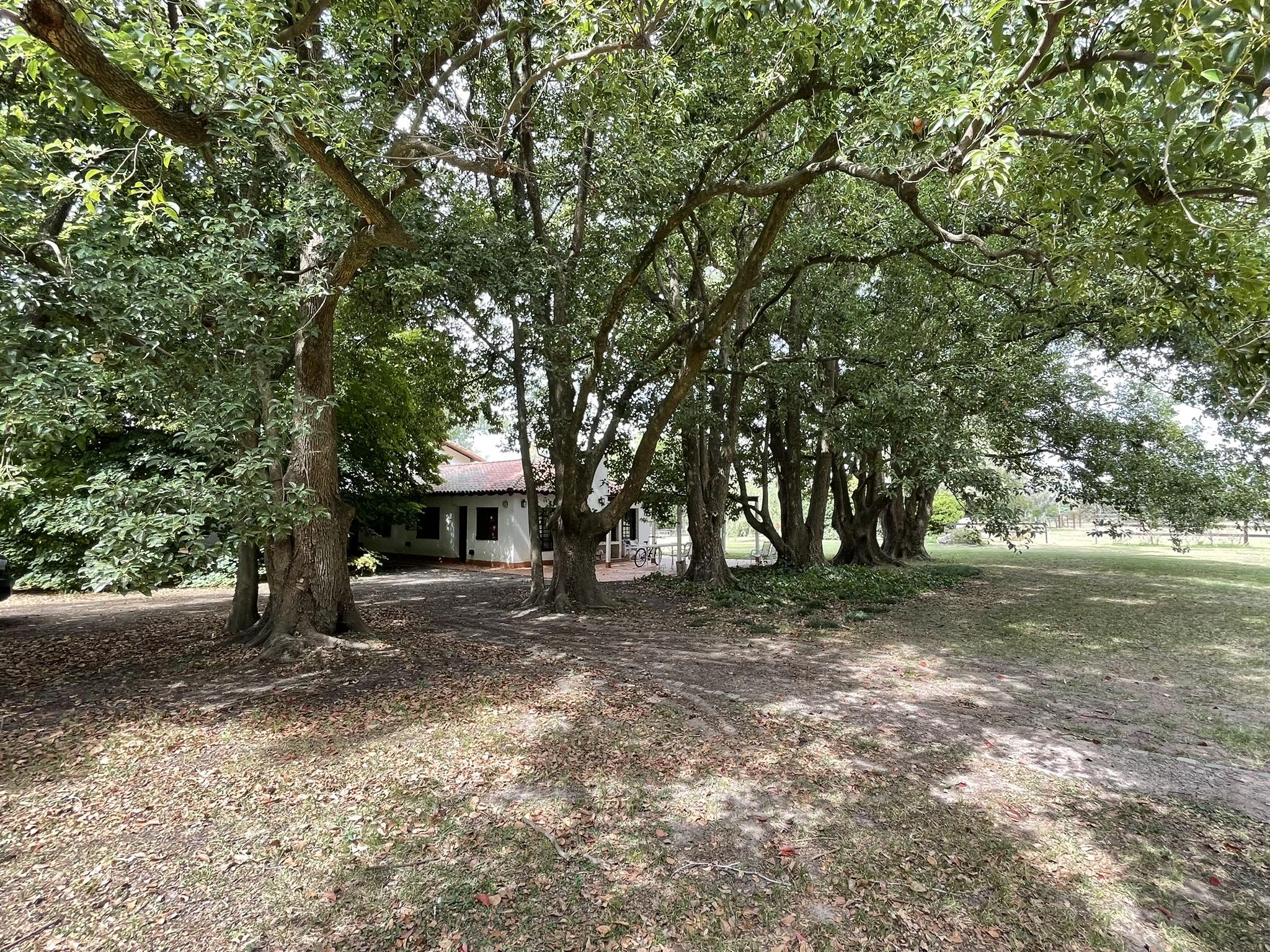 Foto 17