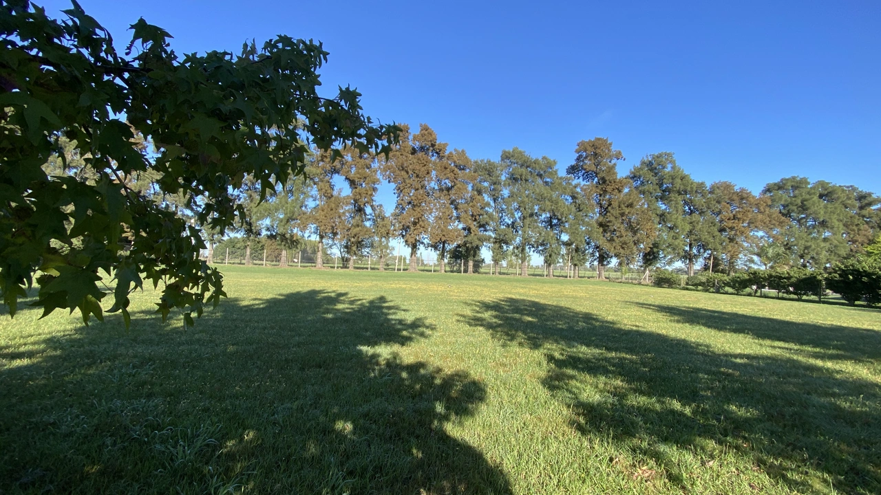 Terreno en venta · Manzanares