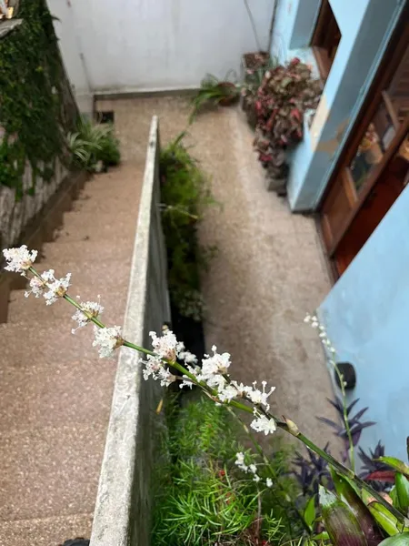 Foto 21