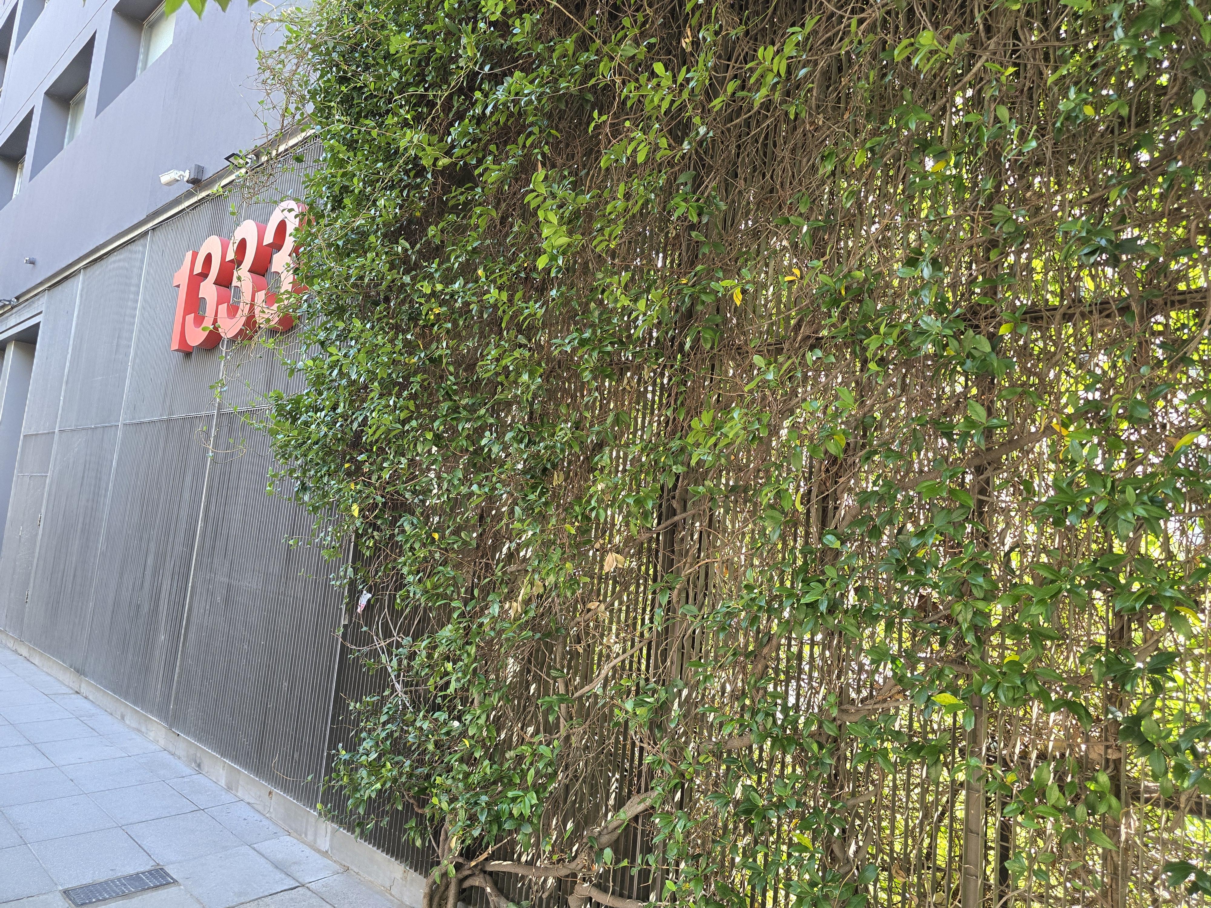Foto 15