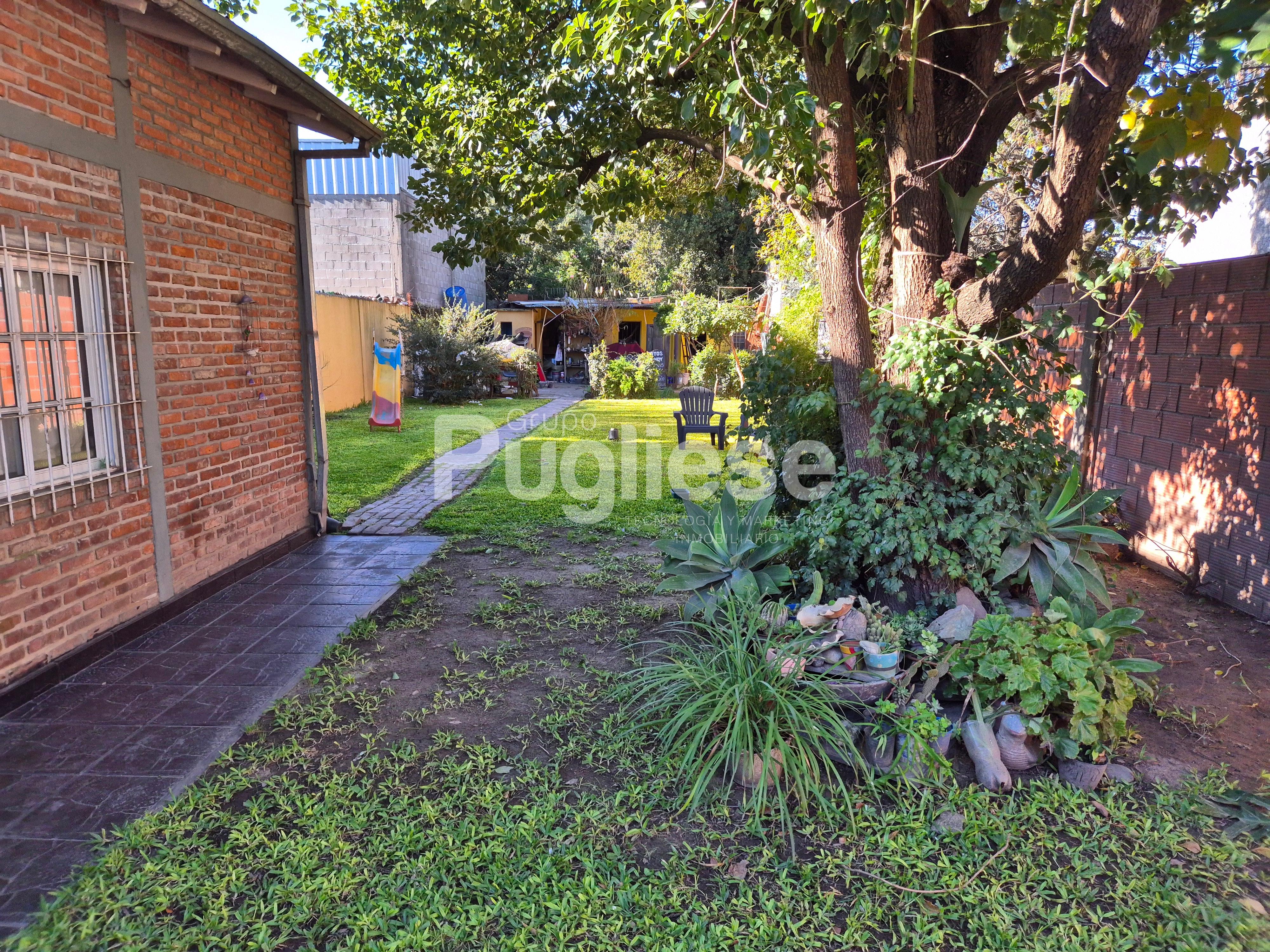 Foto 15