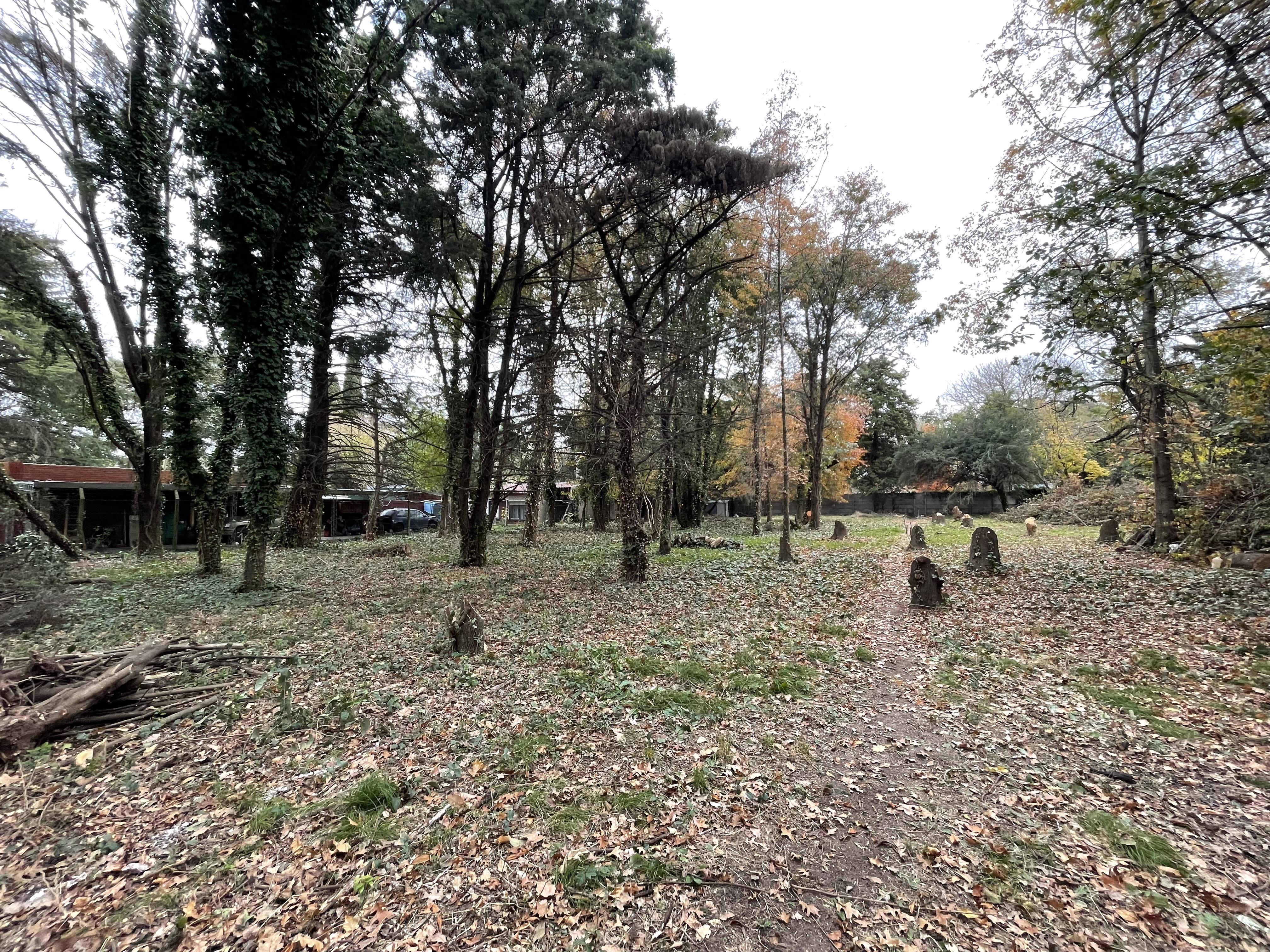 Foto 20