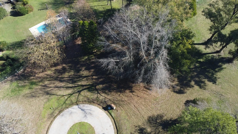 DJI_0597 (1).JPG