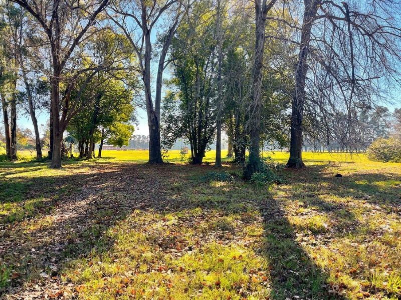 Terreno en venta · Barrio Privado Almahue, La Lonja, Pilar, GBA Norte, Provincia de Buenos Aires Terreno en venta · Barrio Privado Almahue, La Lonja, Pilar, GBA Norte, Provincia de Buenos Aires
