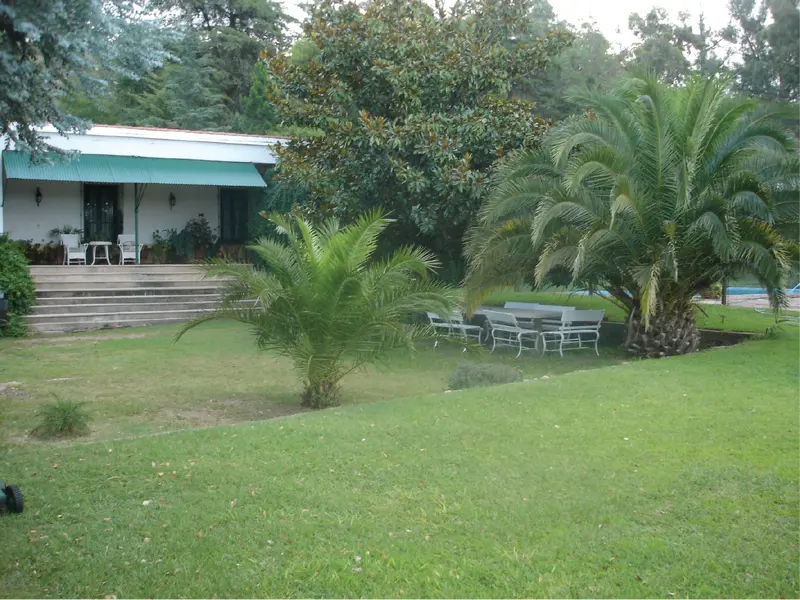 Tanti fotos_Mesa de trabajo 1-03.png