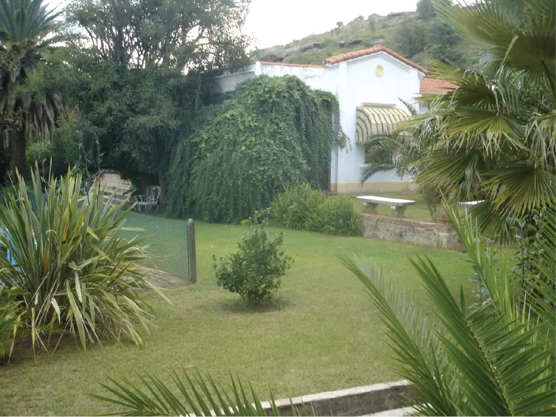 Tanti fotos_Mesa de trabajo 1-05.png