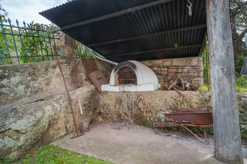 DSC08003.jpg
