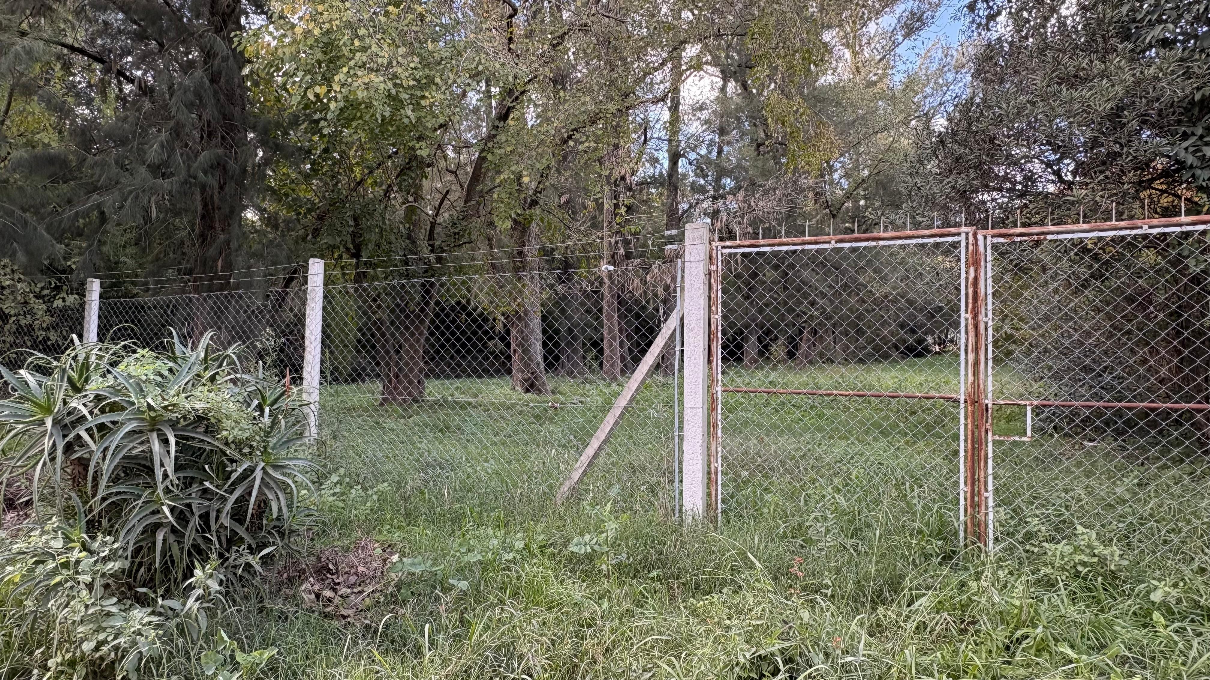 Foto 14