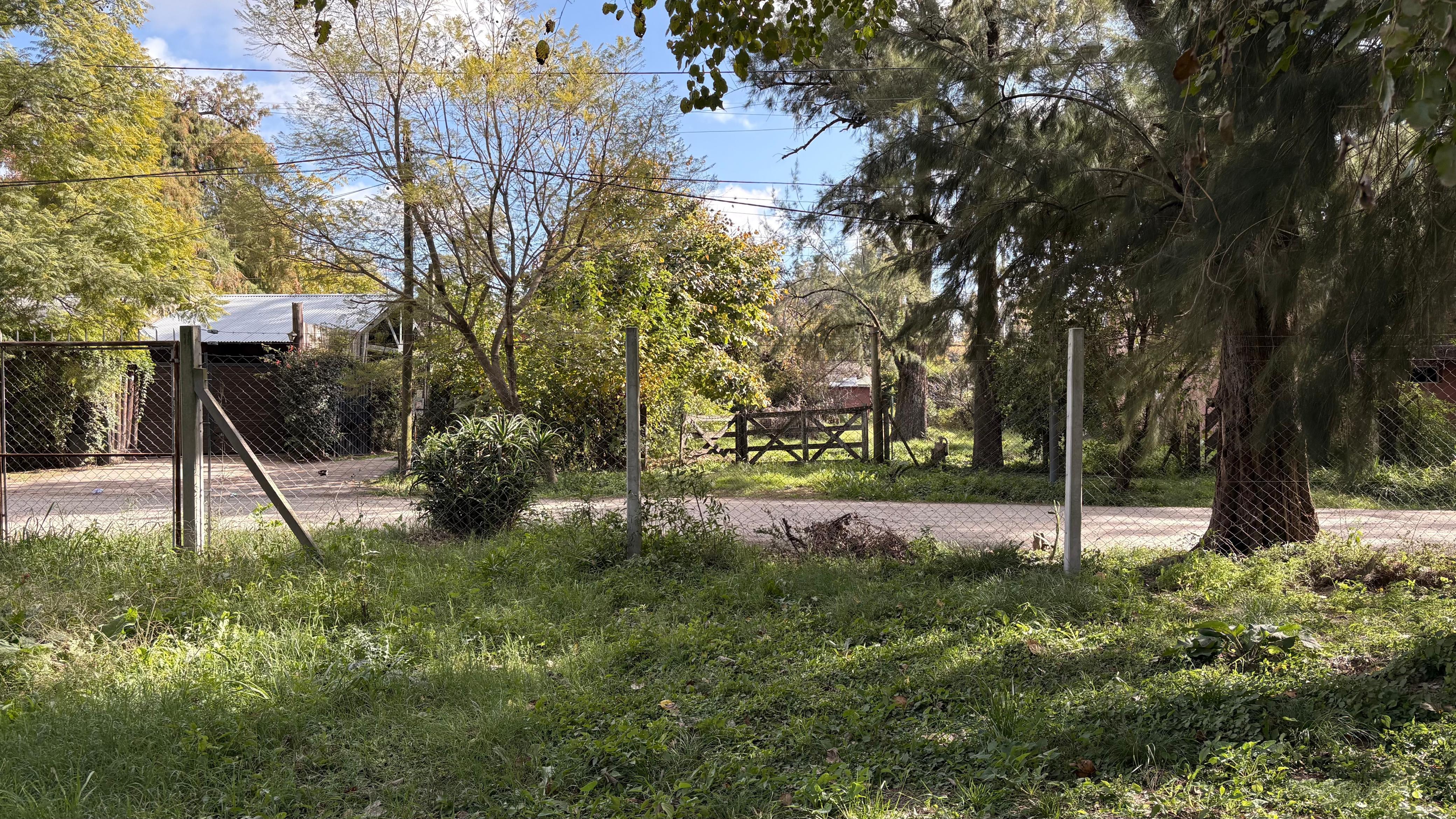 Foto 6