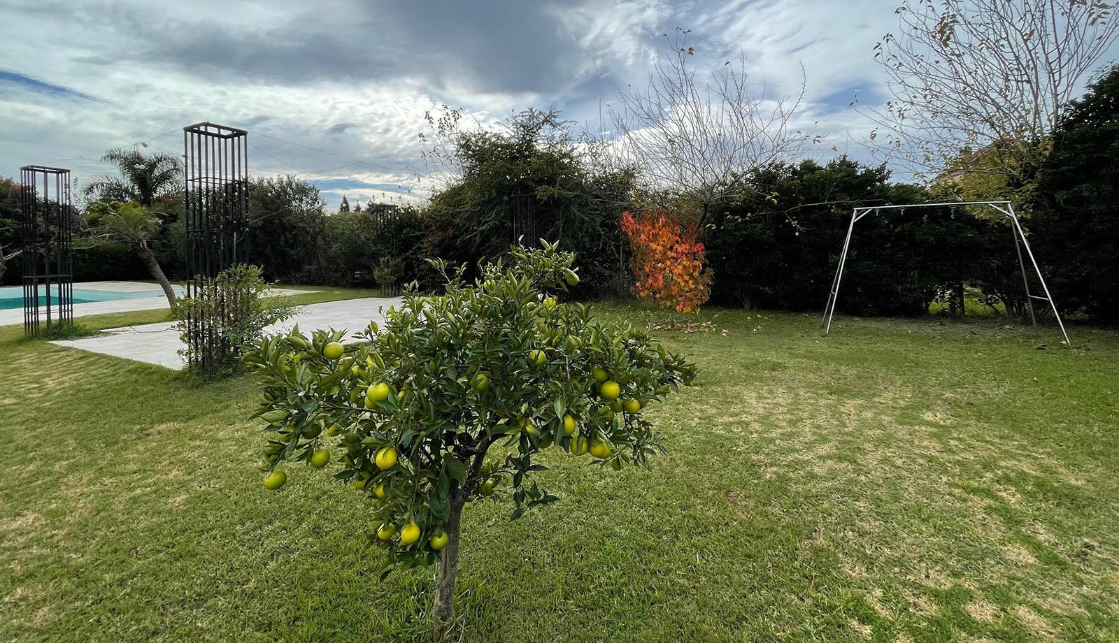 Foto 8