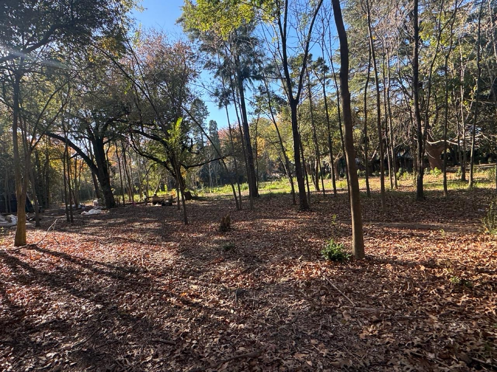 Foto 10
