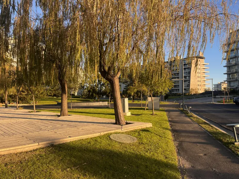 Foto 23
