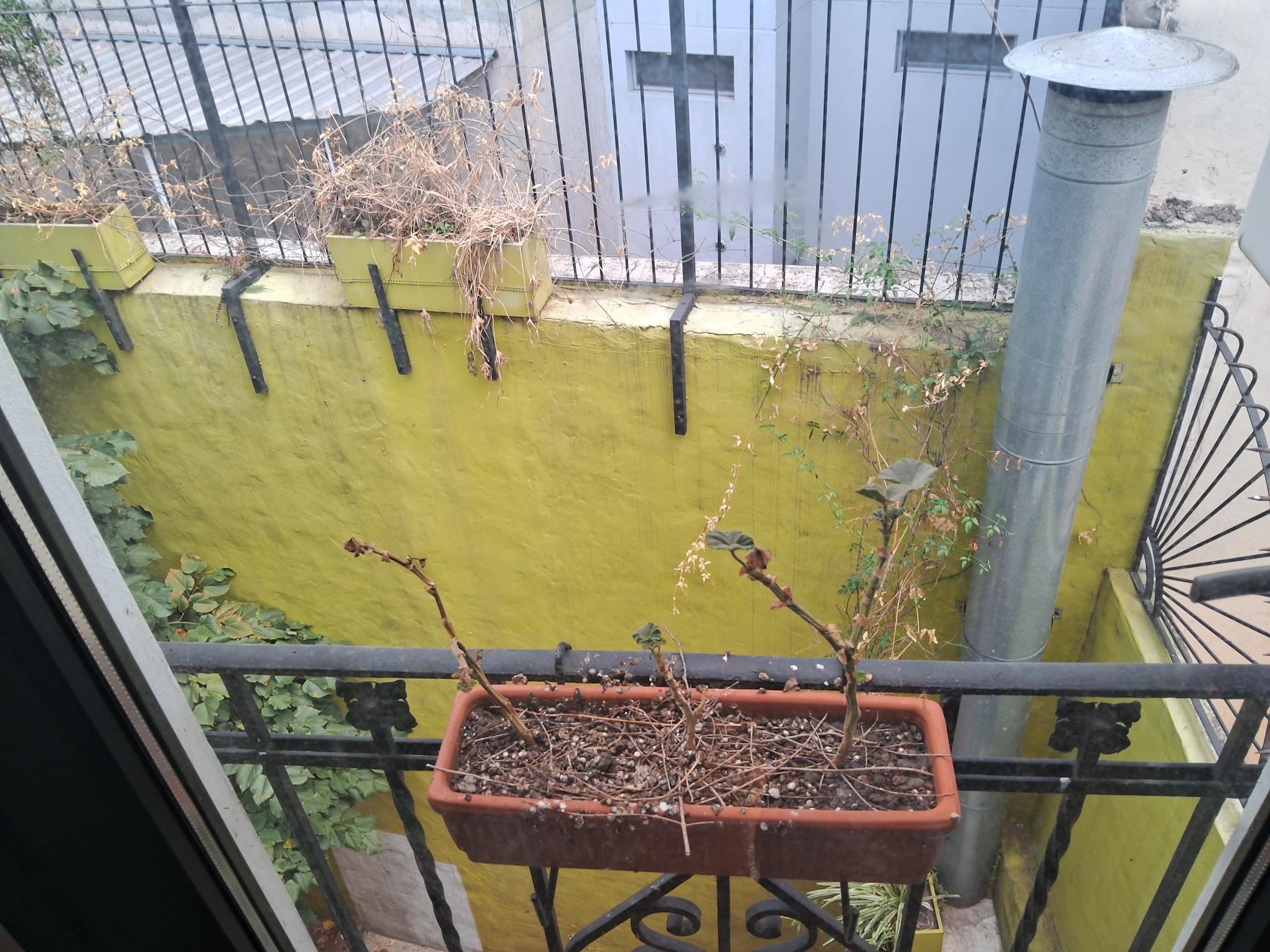 Foto 23