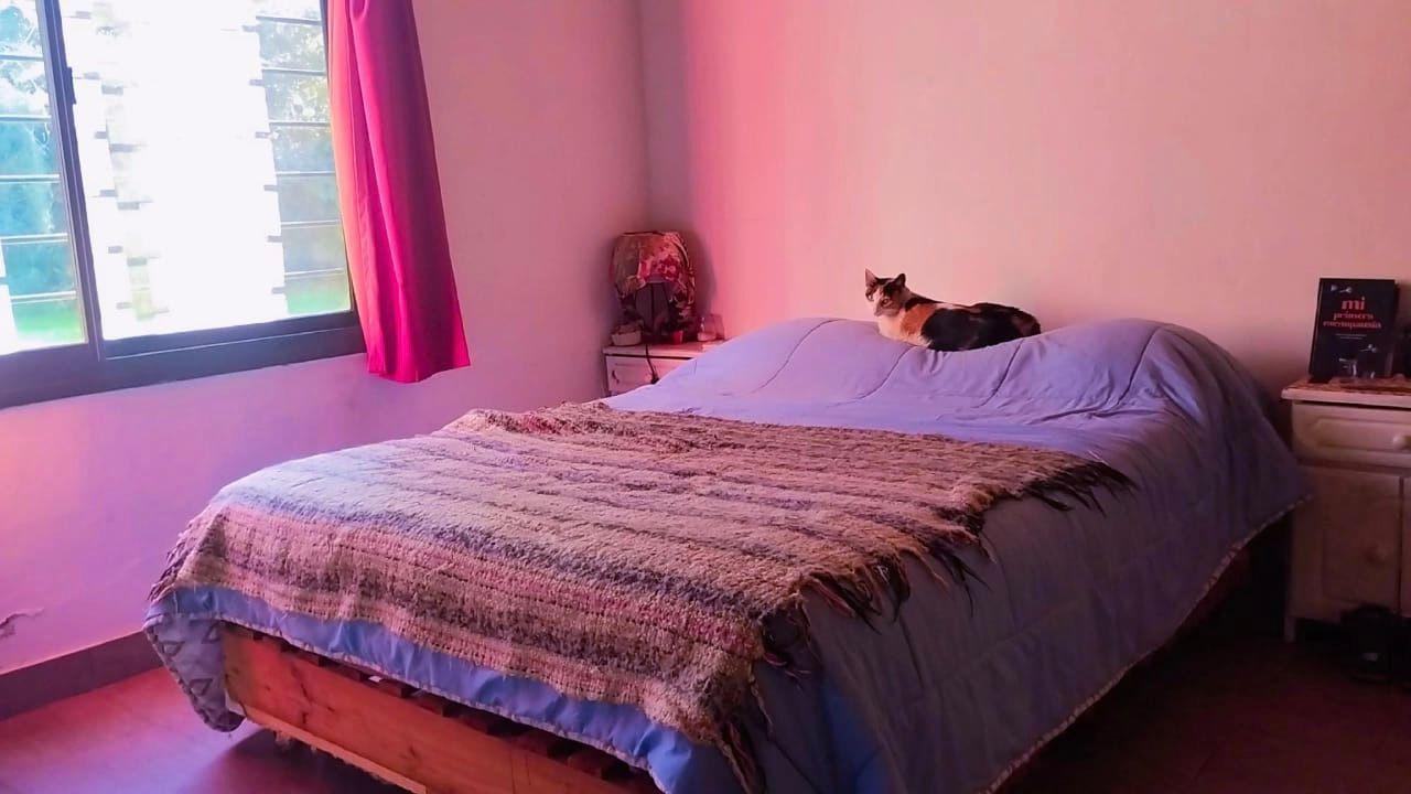 Foto 7