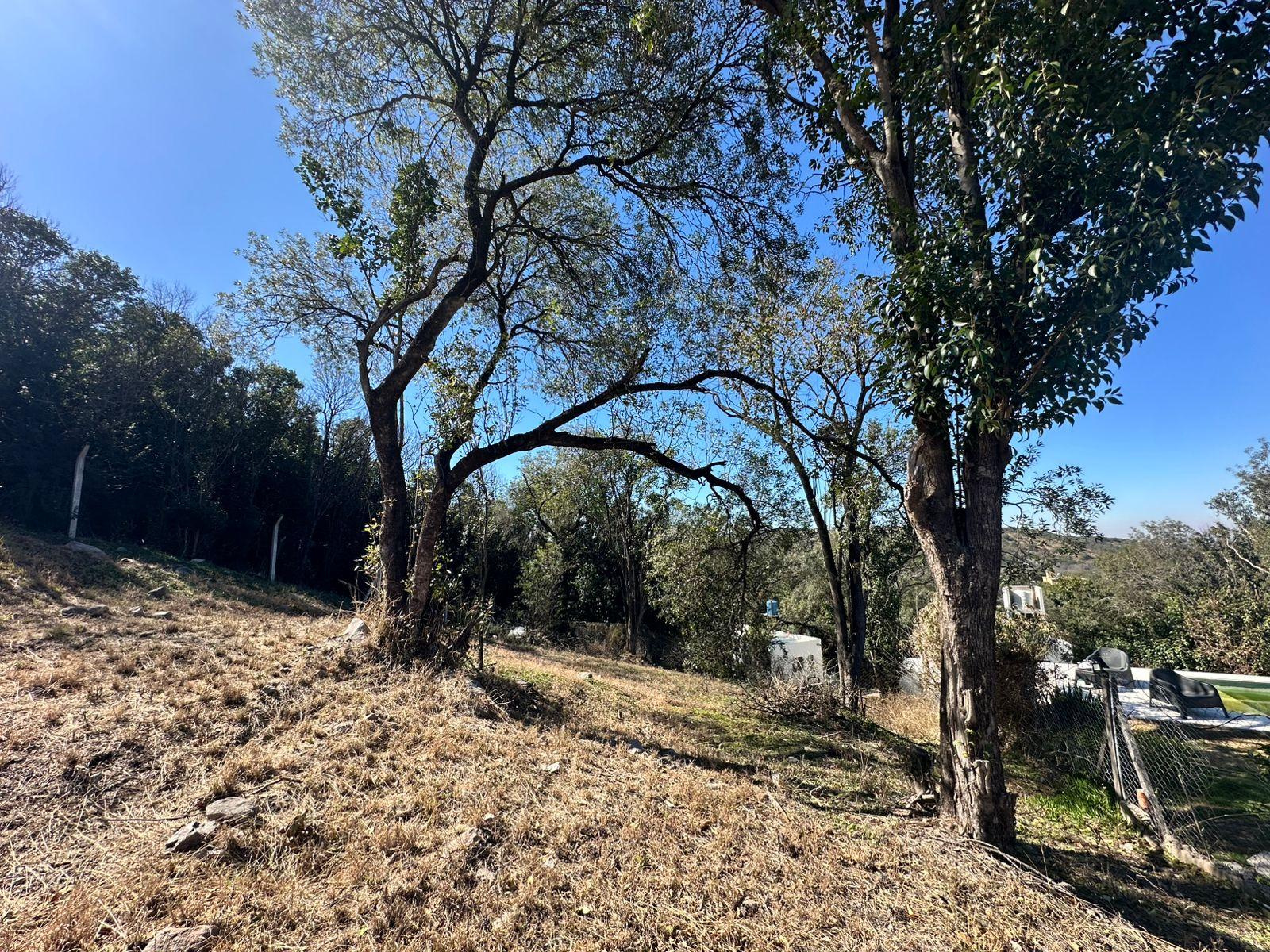 Foto 13