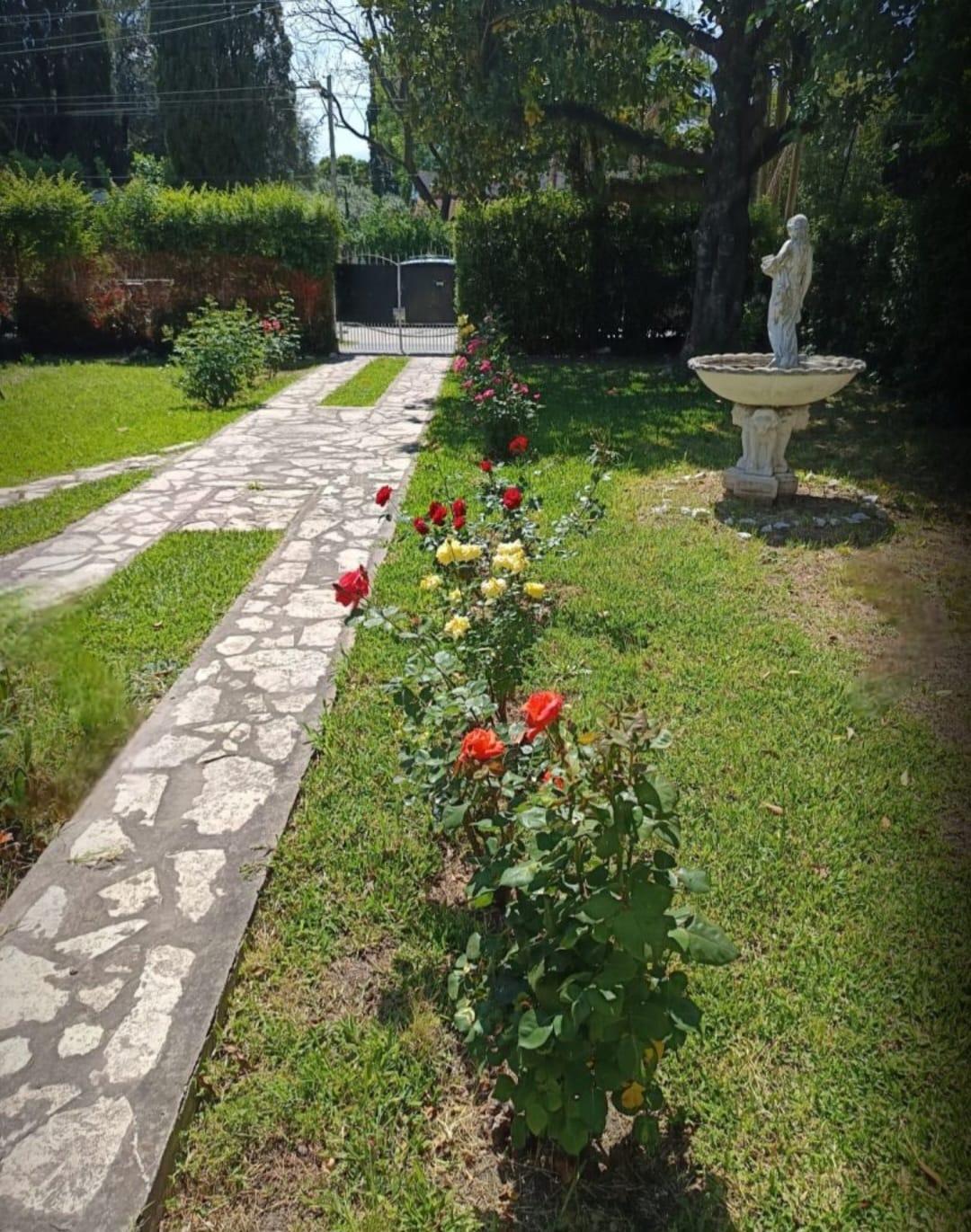 Foto 12