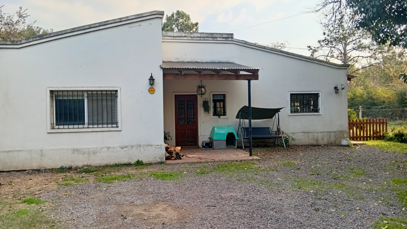 309163.jpg