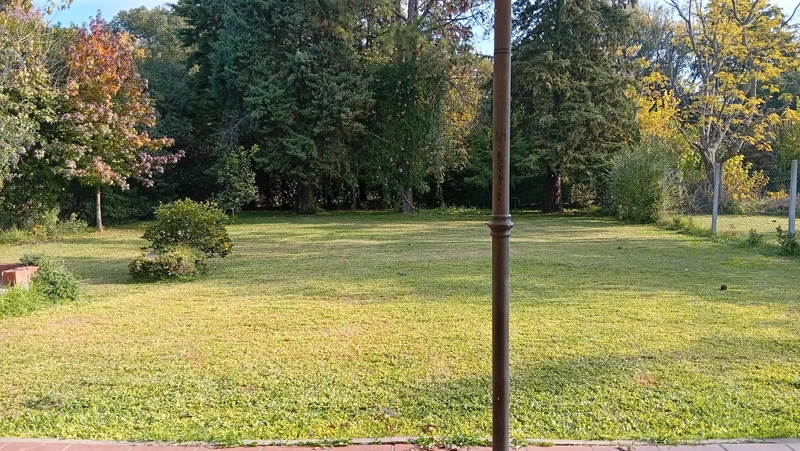 302819.jpg