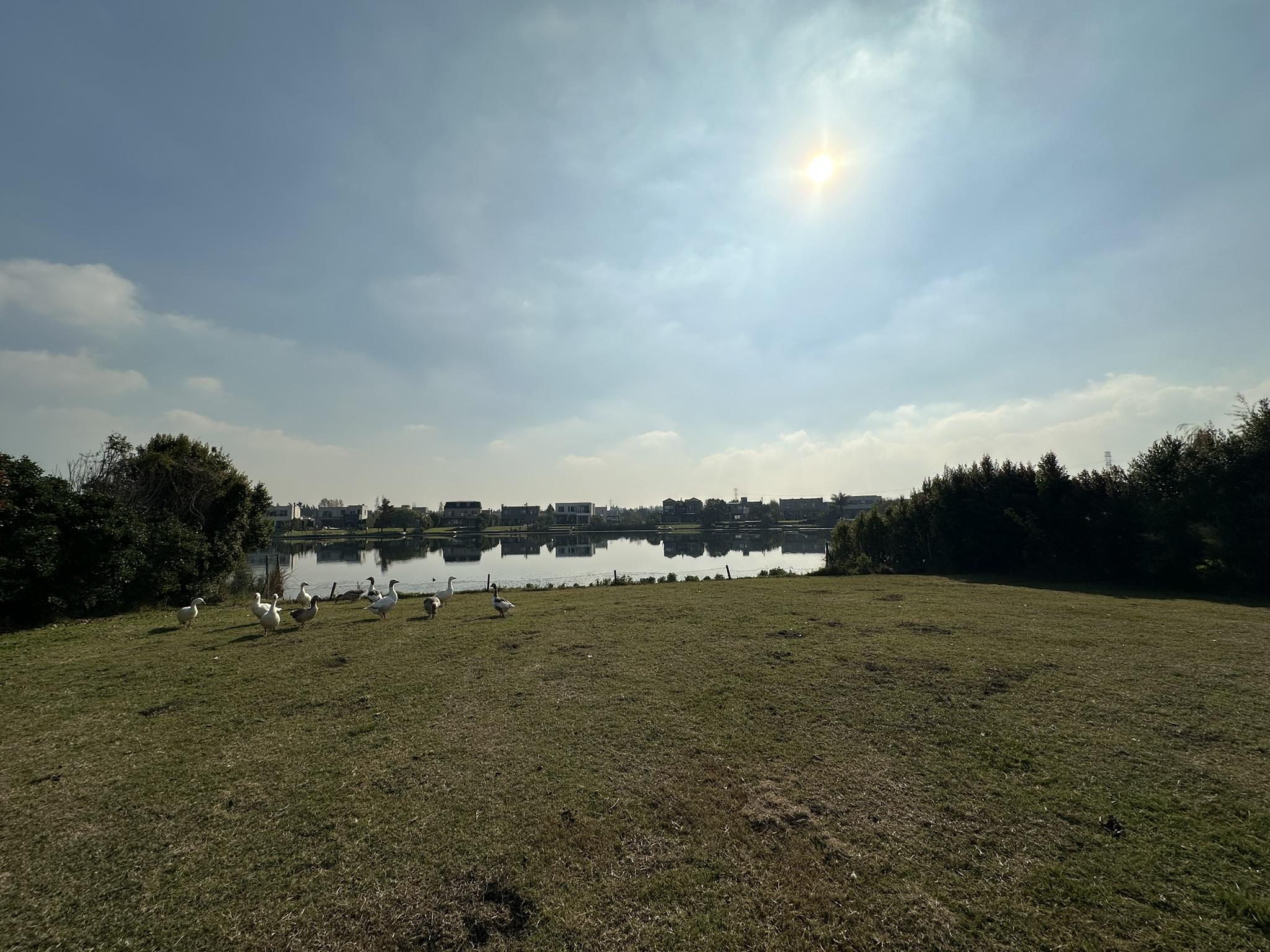 Foto 19