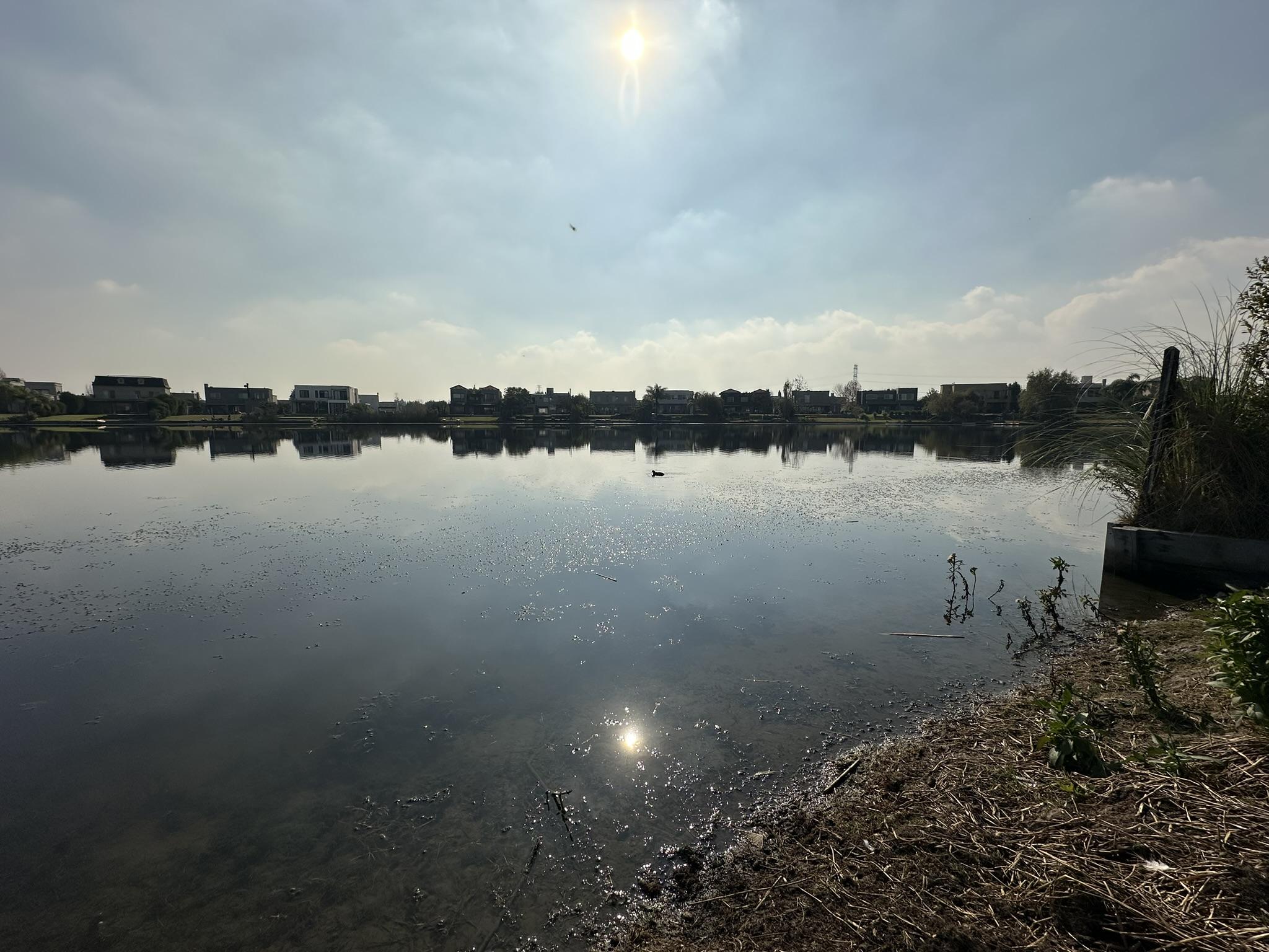 Foto 21