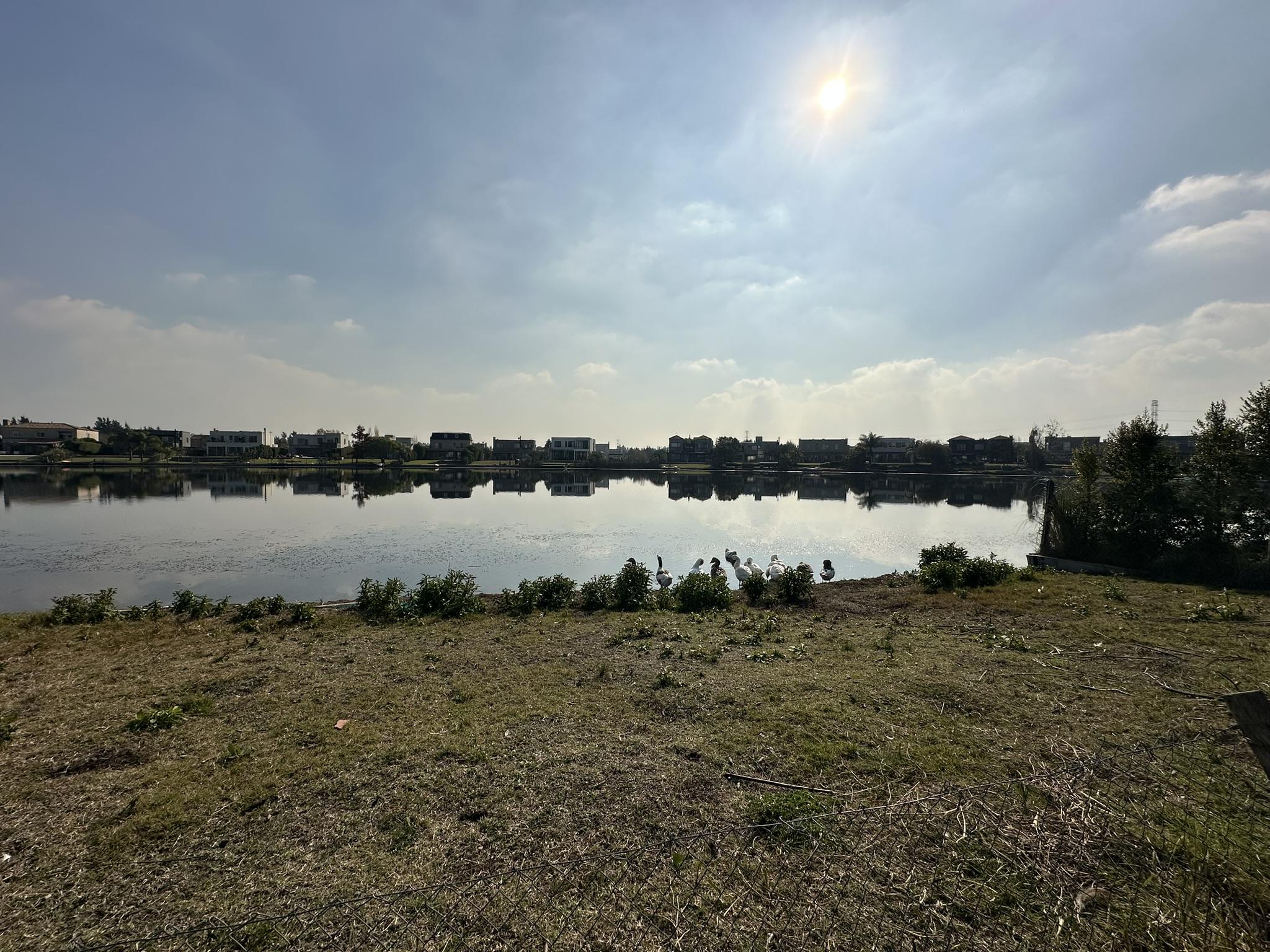 Foto 18