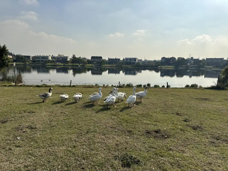 Terreno en venta · San Francisco, Villanueva, Tigre, GBA Norte, Provincia de Buenos Aires