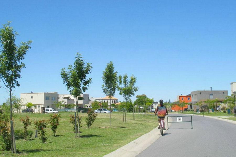 Foto 50