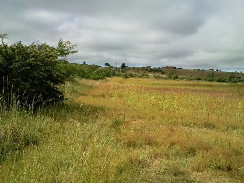 Foto 8