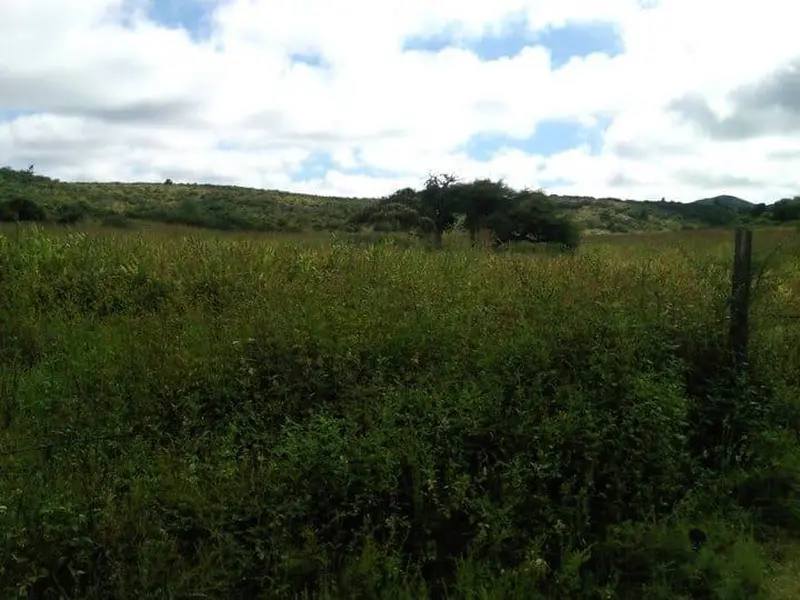 Foto 6