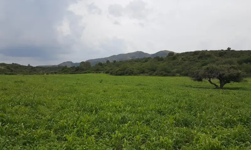 Terreno en venta · Villa Giardino, Punilla, Córdoba