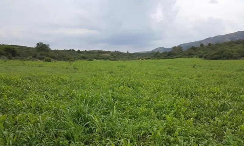 Foto 15