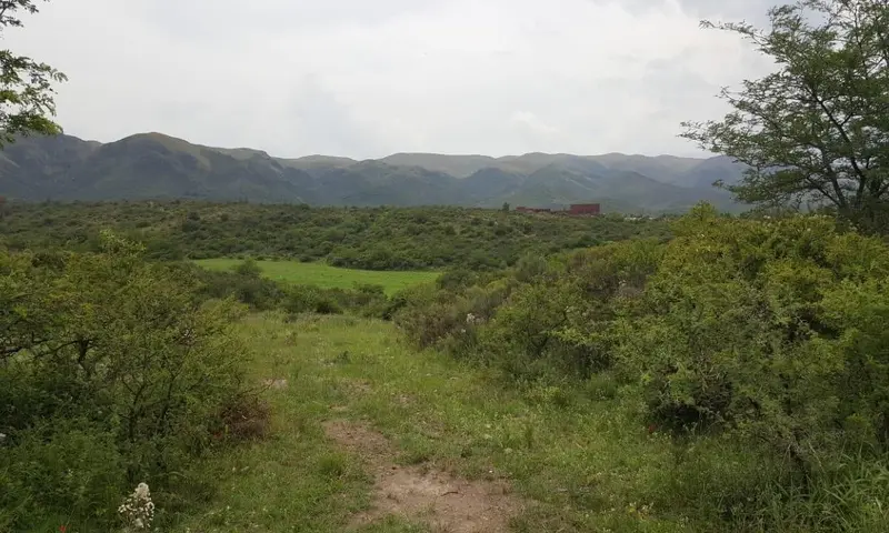 Foto 17